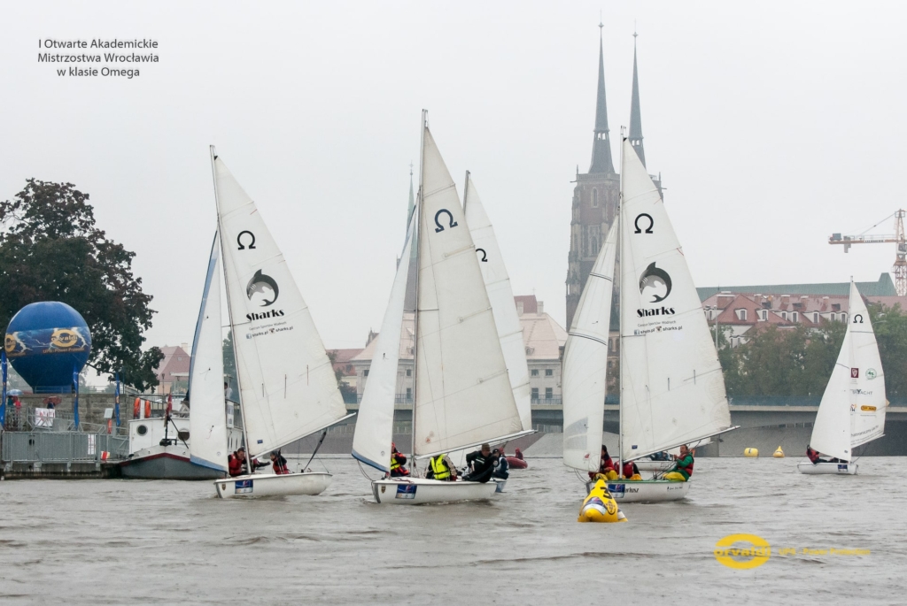 regaty omegi wroclaw